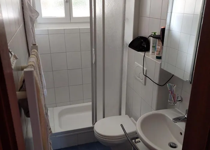 Mit Fantastischem Panoramablick Apartamento Gambarogno